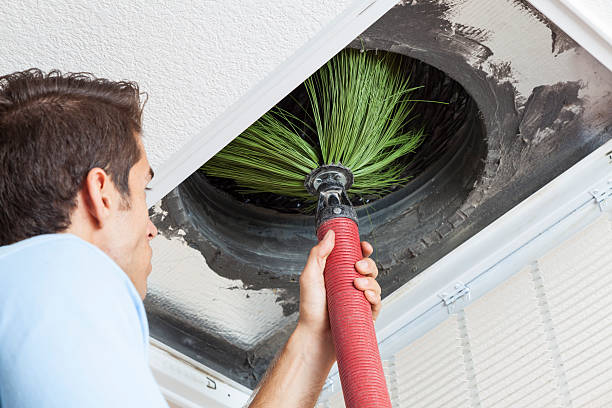 Best Air Vent Cleaning Services  in Grove Hill, AL