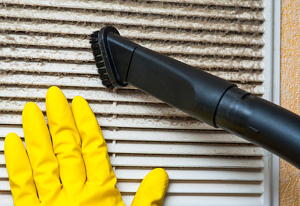 Best Best Air Duct Cleaning Company  in Grove Hill, AL